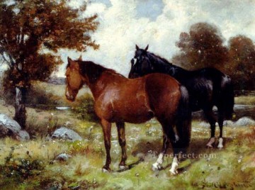 am084D animal horse Oil Paintings